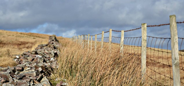 blog-banner-wales2