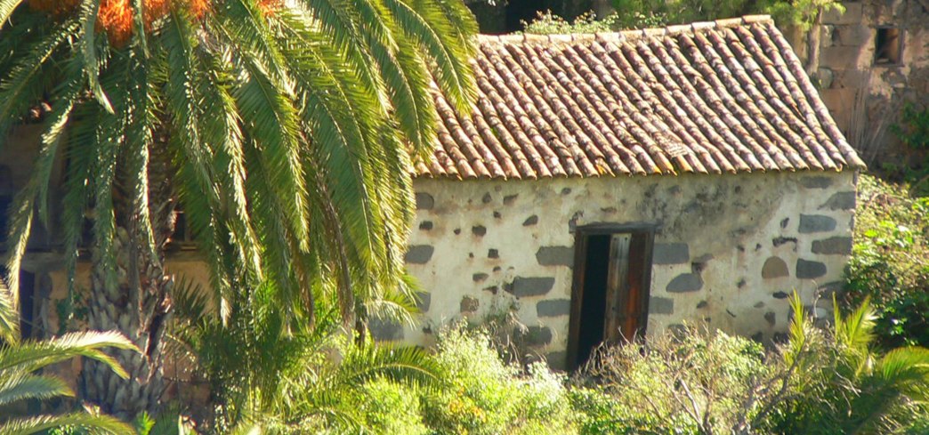 canaries-house-blog