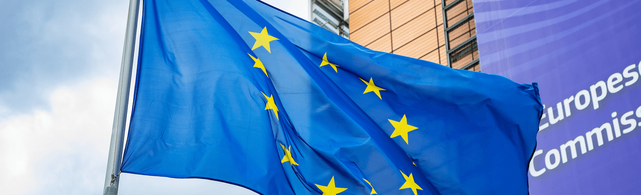 Image of EU flag